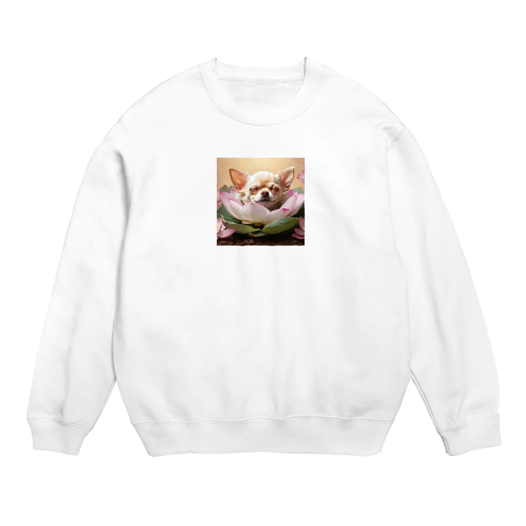 チワワ愛好家ショップの可愛らしいチワワちゃんが睡蓮の中で熟睡中 Crew Neck Sweatshirt