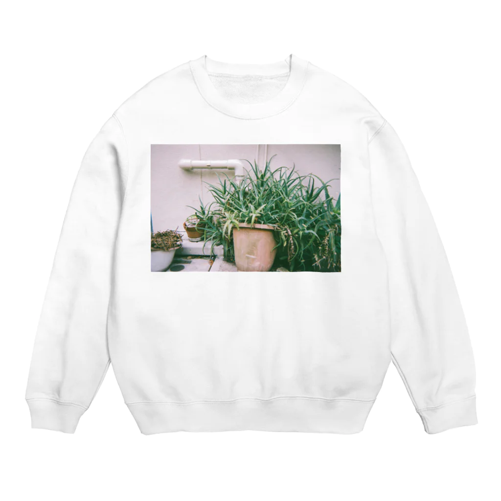 GOMENNEのネグレクトされる観賞用植物 Crew Neck Sweatshirt