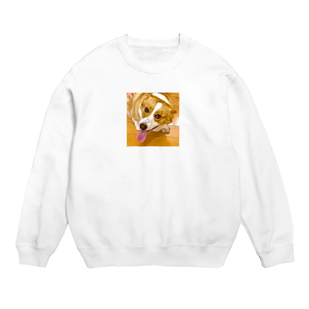 "Canvas Harmony"の笑顔溢れるコーギー、あおくん Crew Neck Sweatshirt