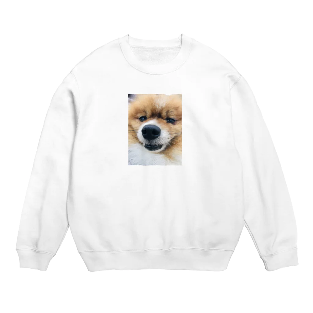 ポメラニアンのアリスくんのポメラニアンのアリスくん Crew Neck Sweatshirt