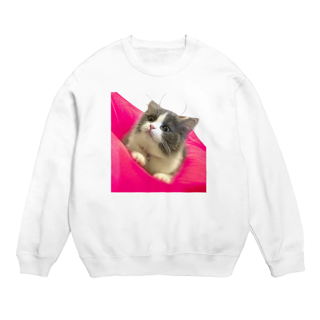 itsukiancoroのアイドルネコのアンちゃん Crew Neck Sweatshirt