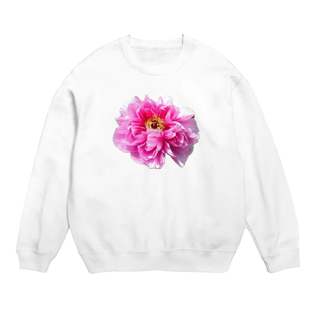 私の世界のseiso Crew Neck Sweatshirt