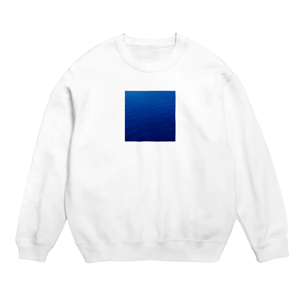 ppqのbluue Crew Neck Sweatshirt