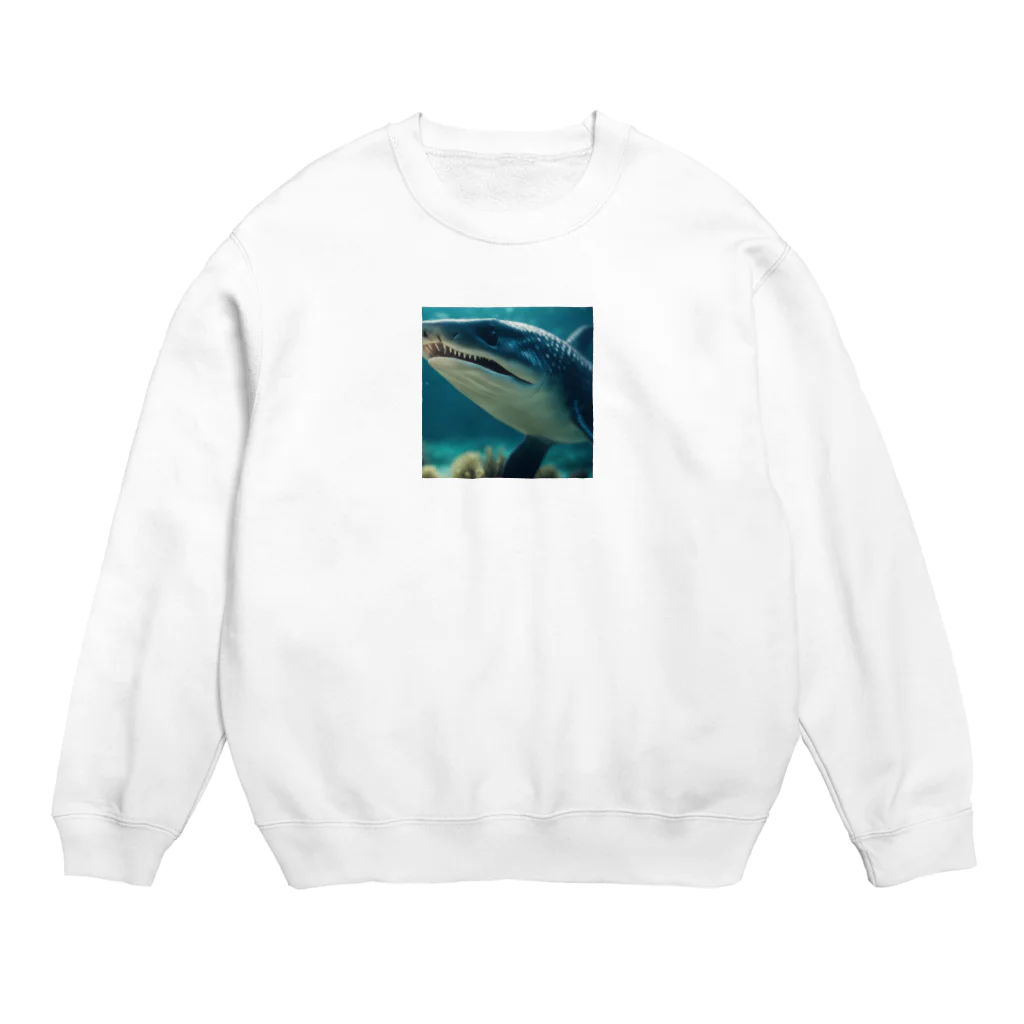 KOKAKORAのイクチオサウルス Crew Neck Sweatshirt