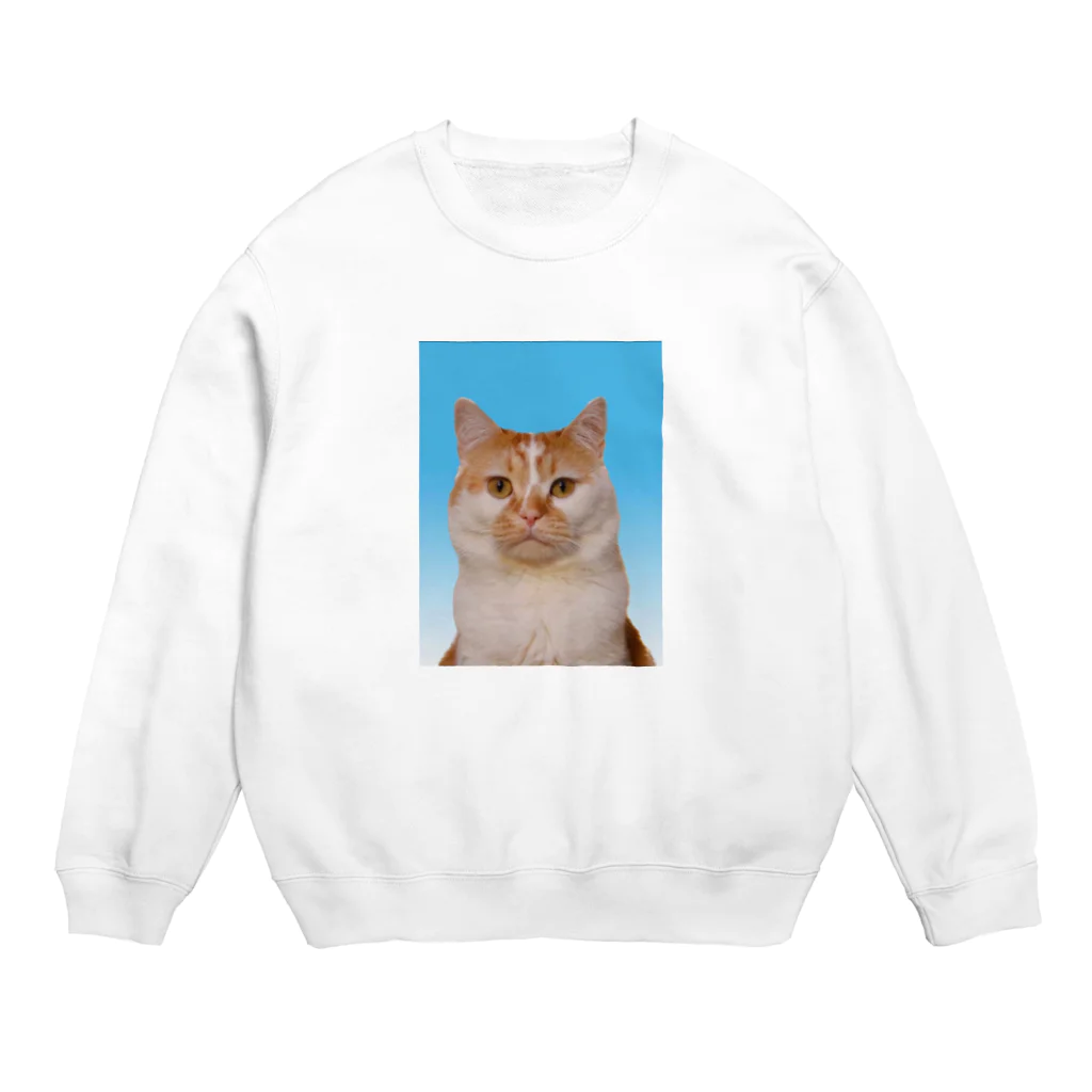 ギズモと琥珀の証明写真 Crew Neck Sweatshirt