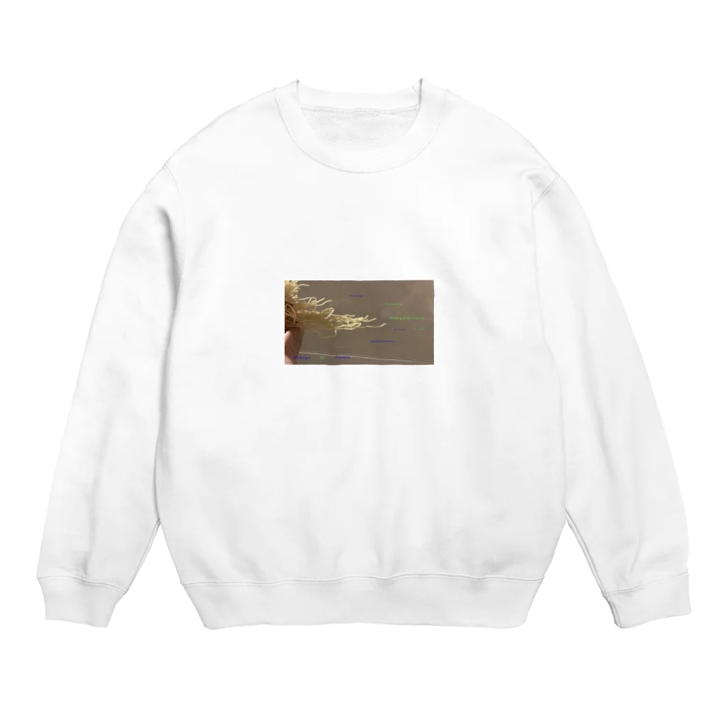 オハナさんのぬけげとぱすた Crew Neck Sweatshirt