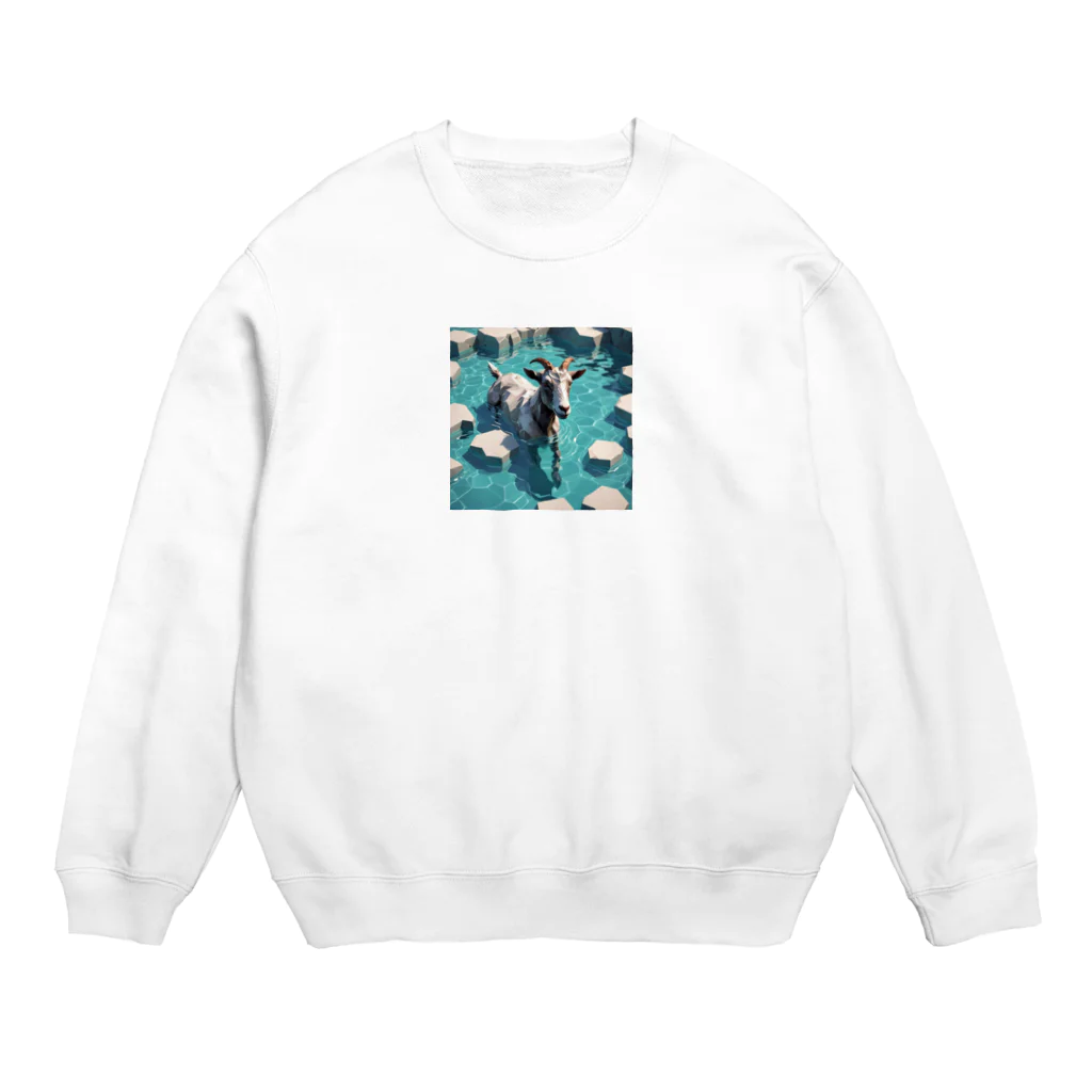 かてこの洋服販売所のWater goat 2 Crew Neck Sweatshirt