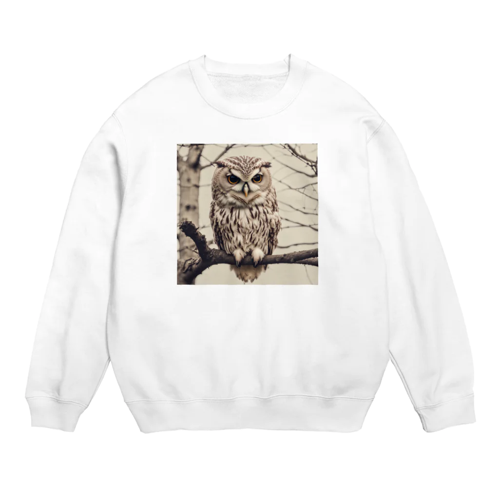 roogerのふくろうくん Crew Neck Sweatshirt