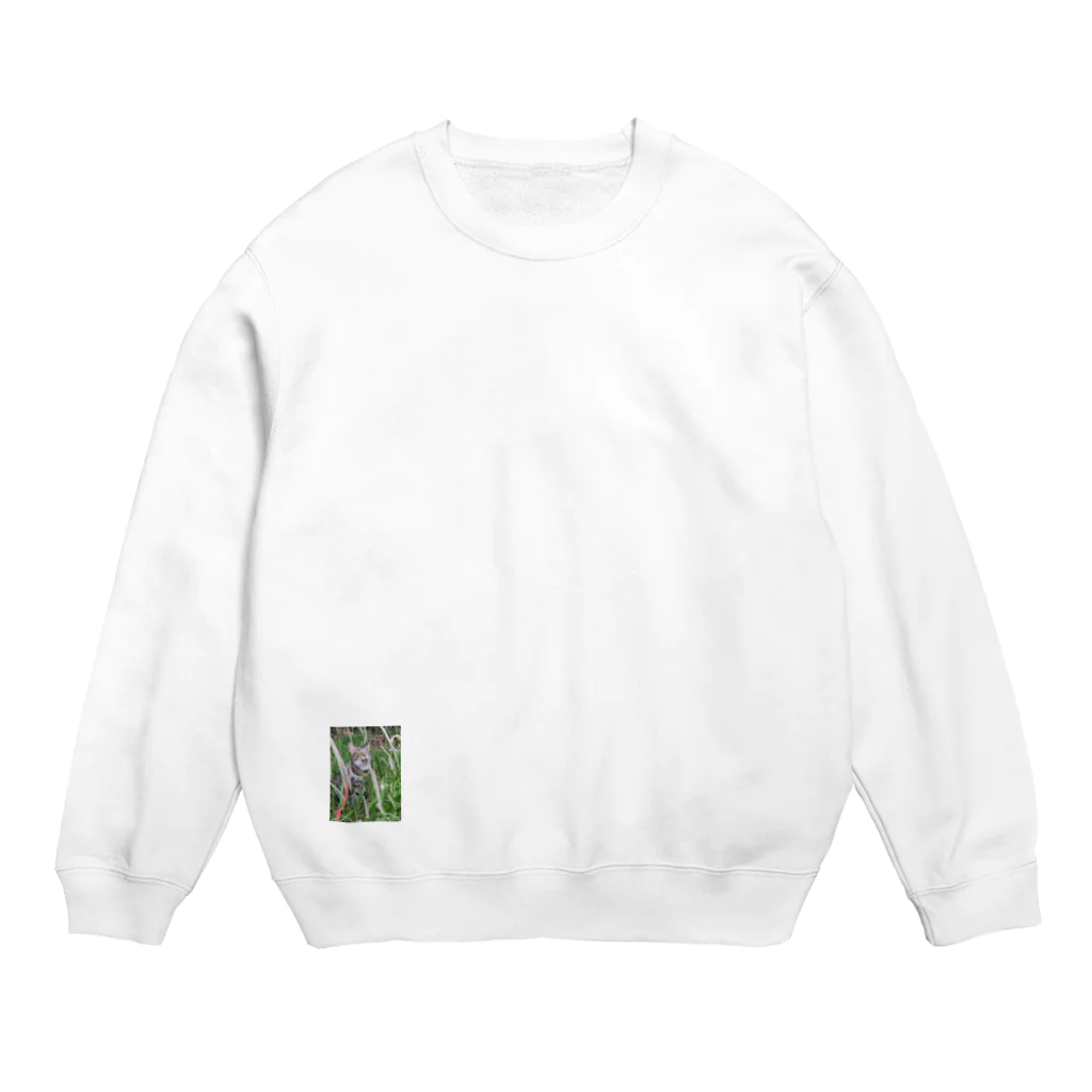 sisyの家ねこ鼻コチョコチョで変顔 Crew Neck Sweatshirt