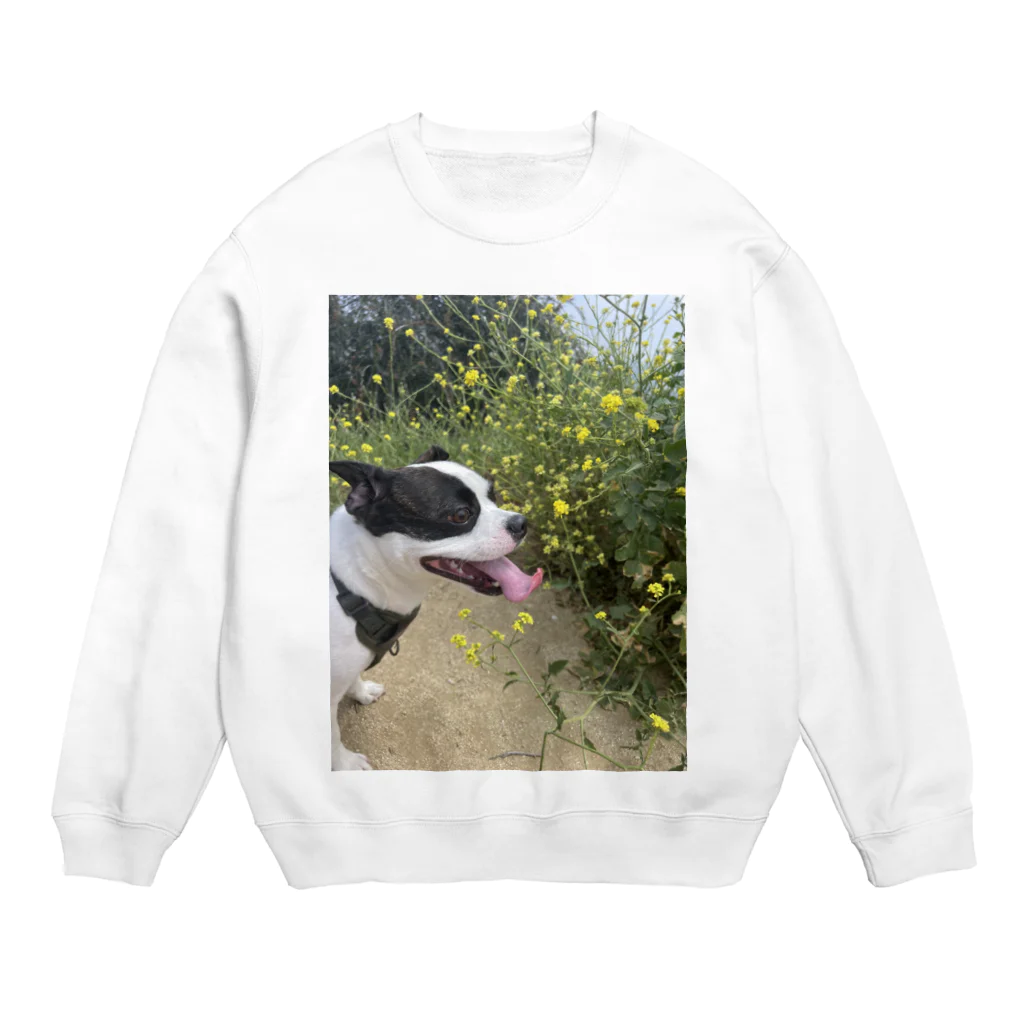 Funniestdogpuddingのおもしろ犬ハイキング Crew Neck Sweatshirt