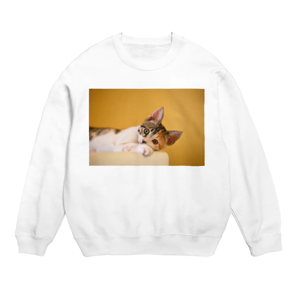 鈴木敏夫の願いがかなうようにね　ねこちゃんー Crew Neck Sweatshirt