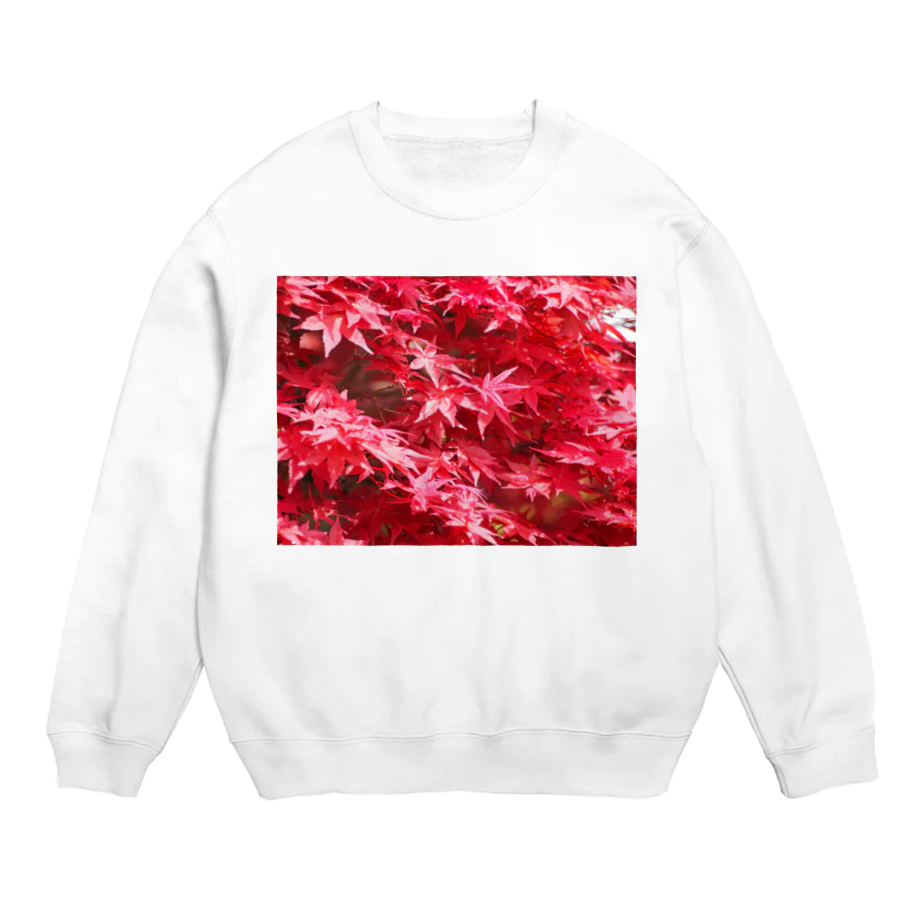 morinoyouseiの鮮やかなもみじ Crew Neck Sweatshirt