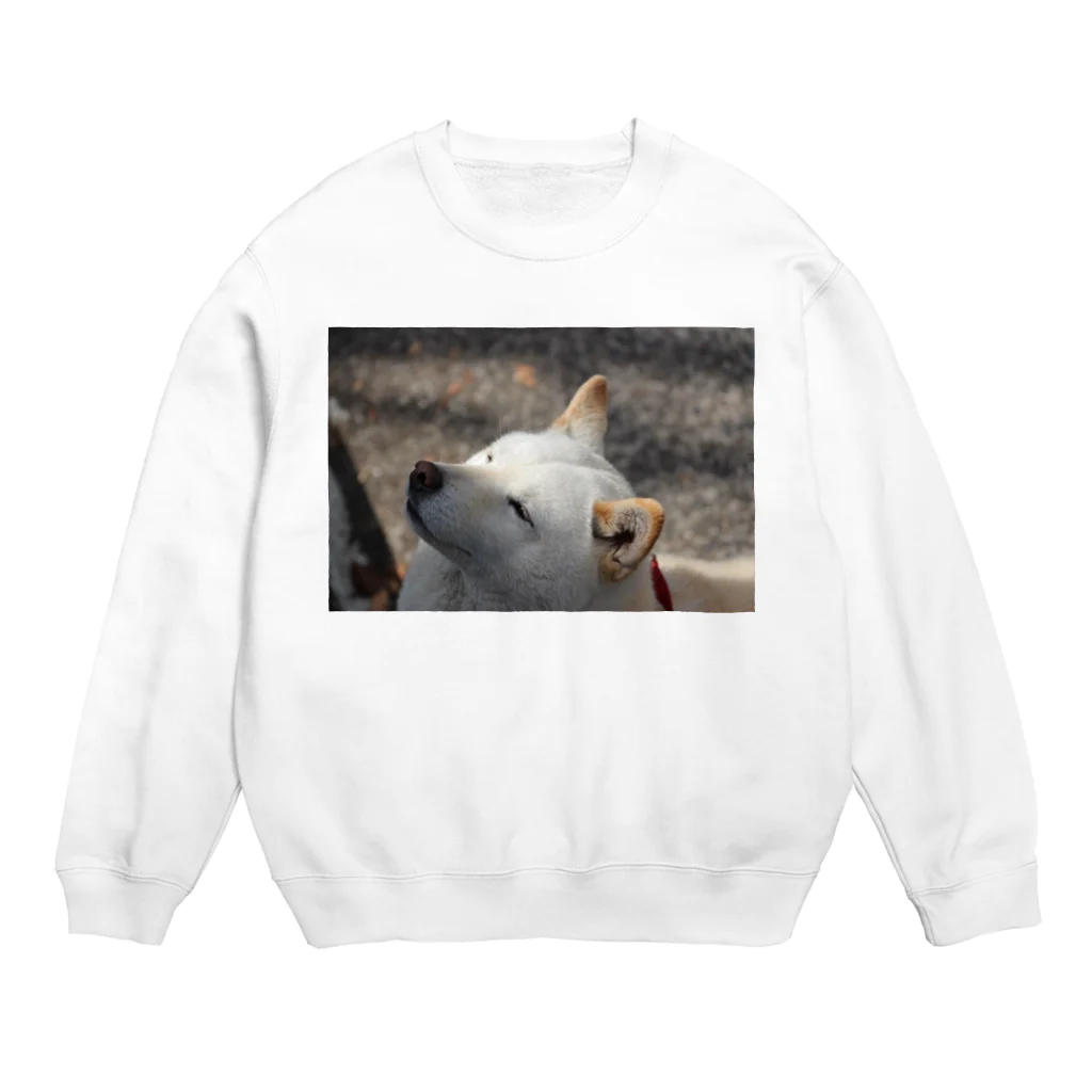 Hananoのshiba Crew Neck Sweatshirt