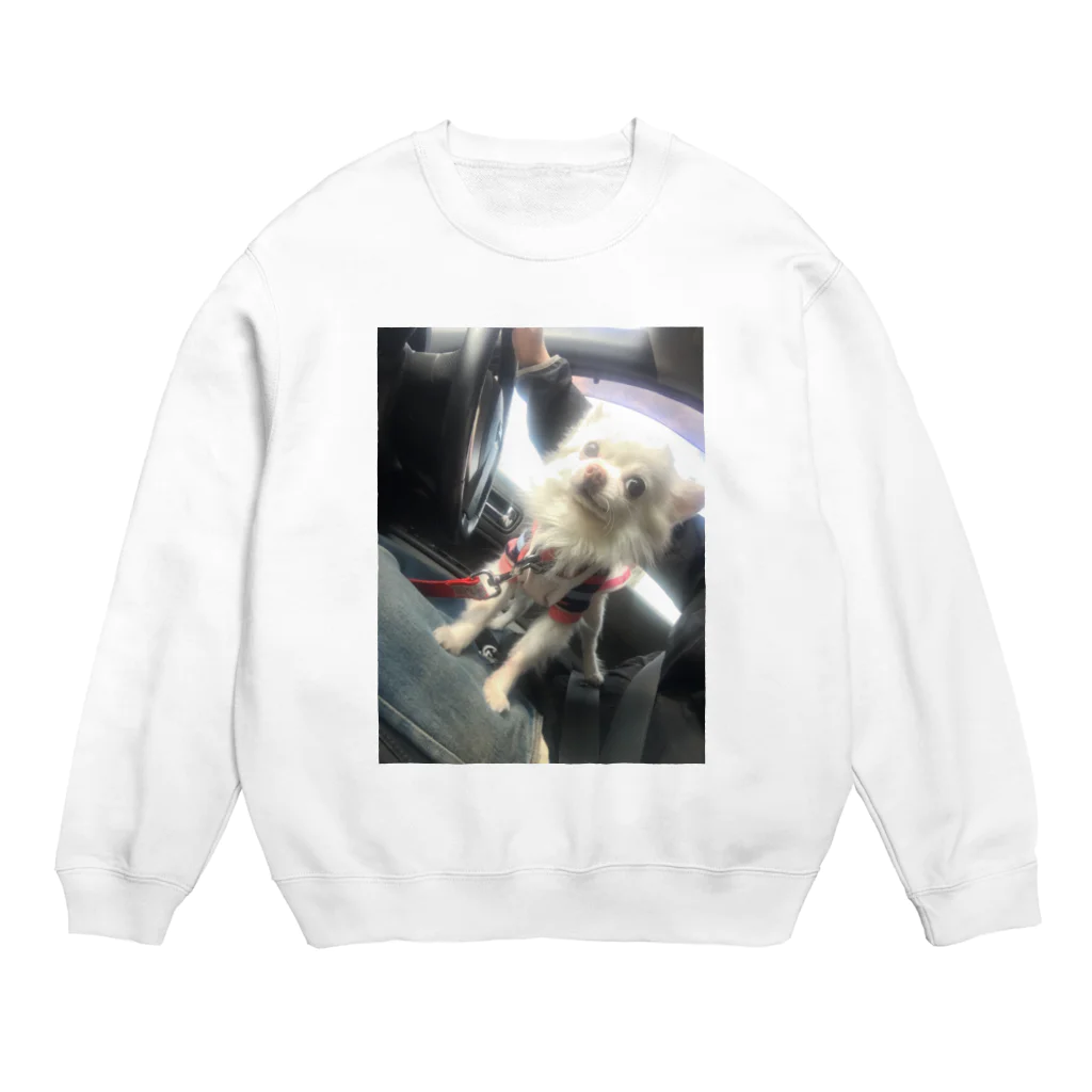 cocoloのつばさちゃん Crew Neck Sweatshirt