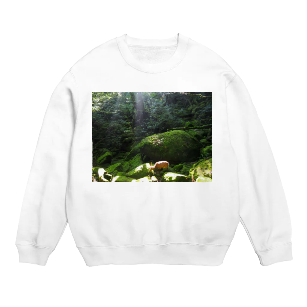 authenの屋久島　白谷雲水峡の森 Crew Neck Sweatshirt