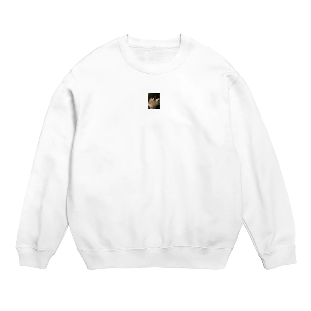 yutakanahitoの愛しの文鳥Ｔシャツ Crew Neck Sweatshirt