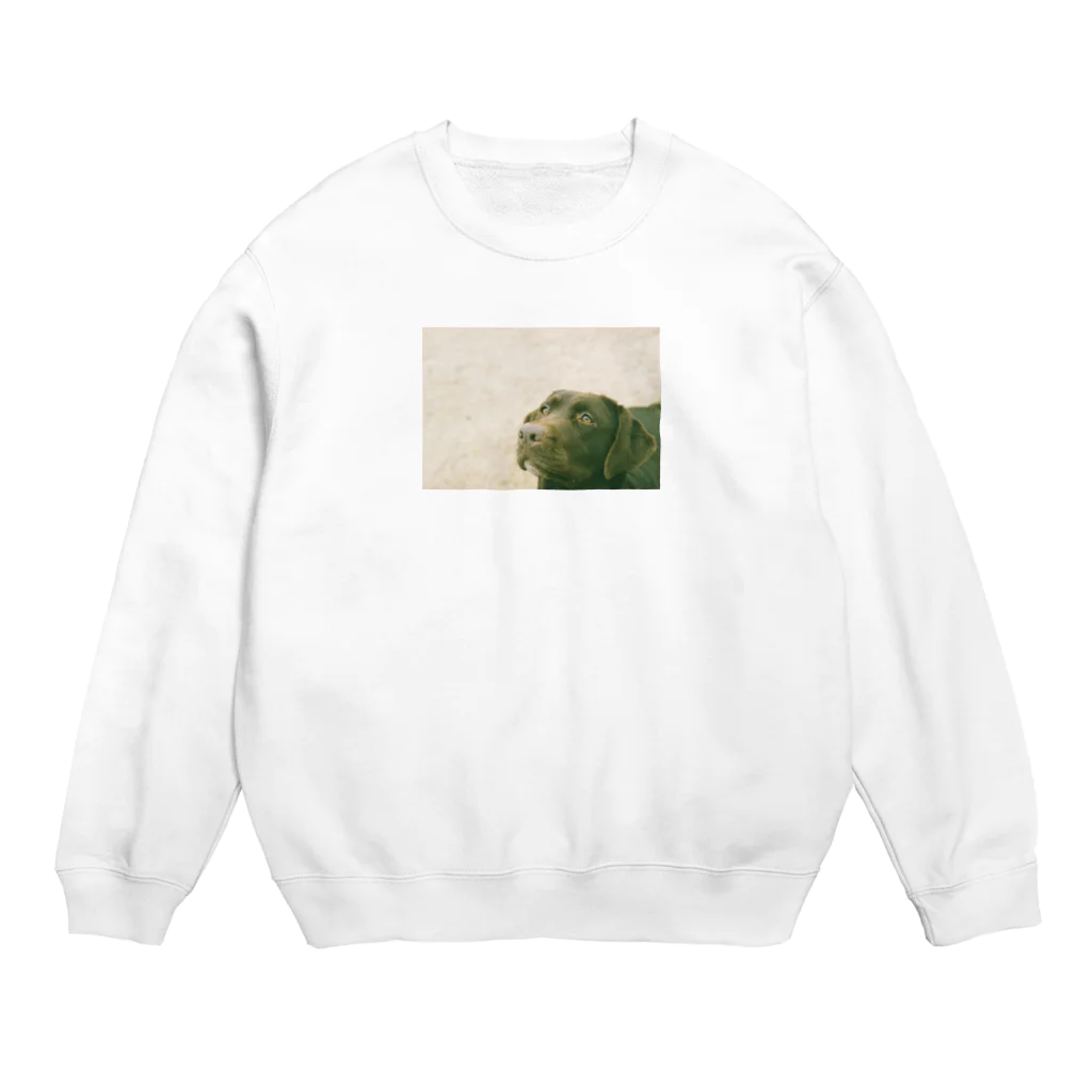 beyanのひたむき Crew Neck Sweatshirt