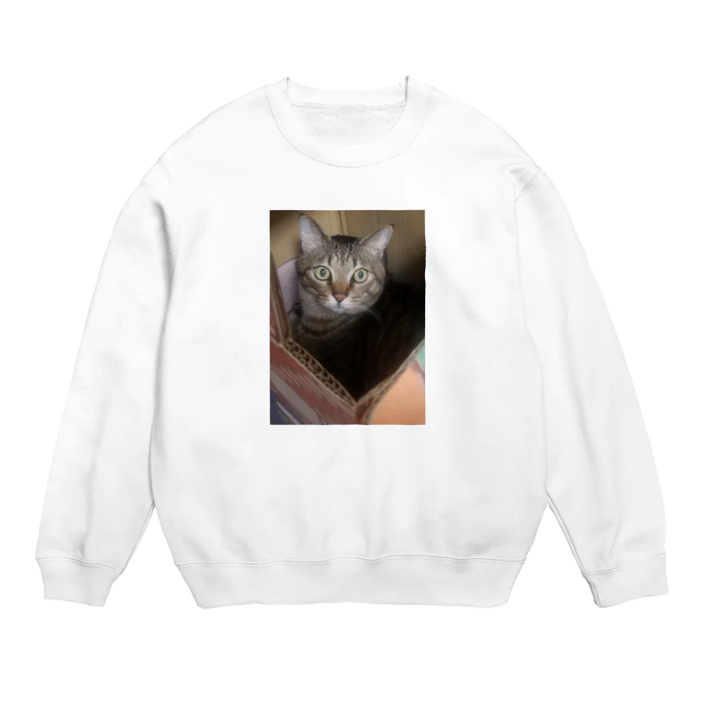 影森美奈子のKizitoranyan Crew Neck Sweatshirt