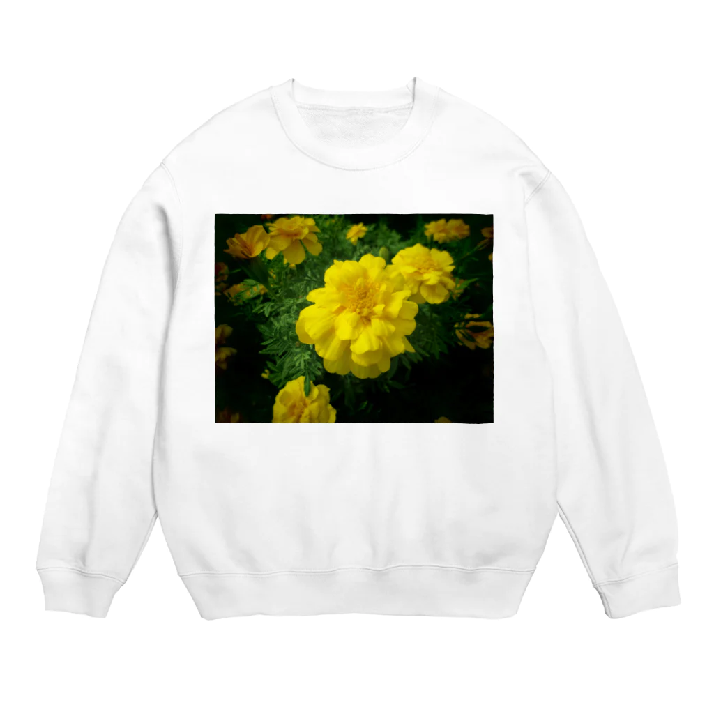 Dreamscape(LUNA)の光り輝く反射率 Crew Neck Sweatshirt