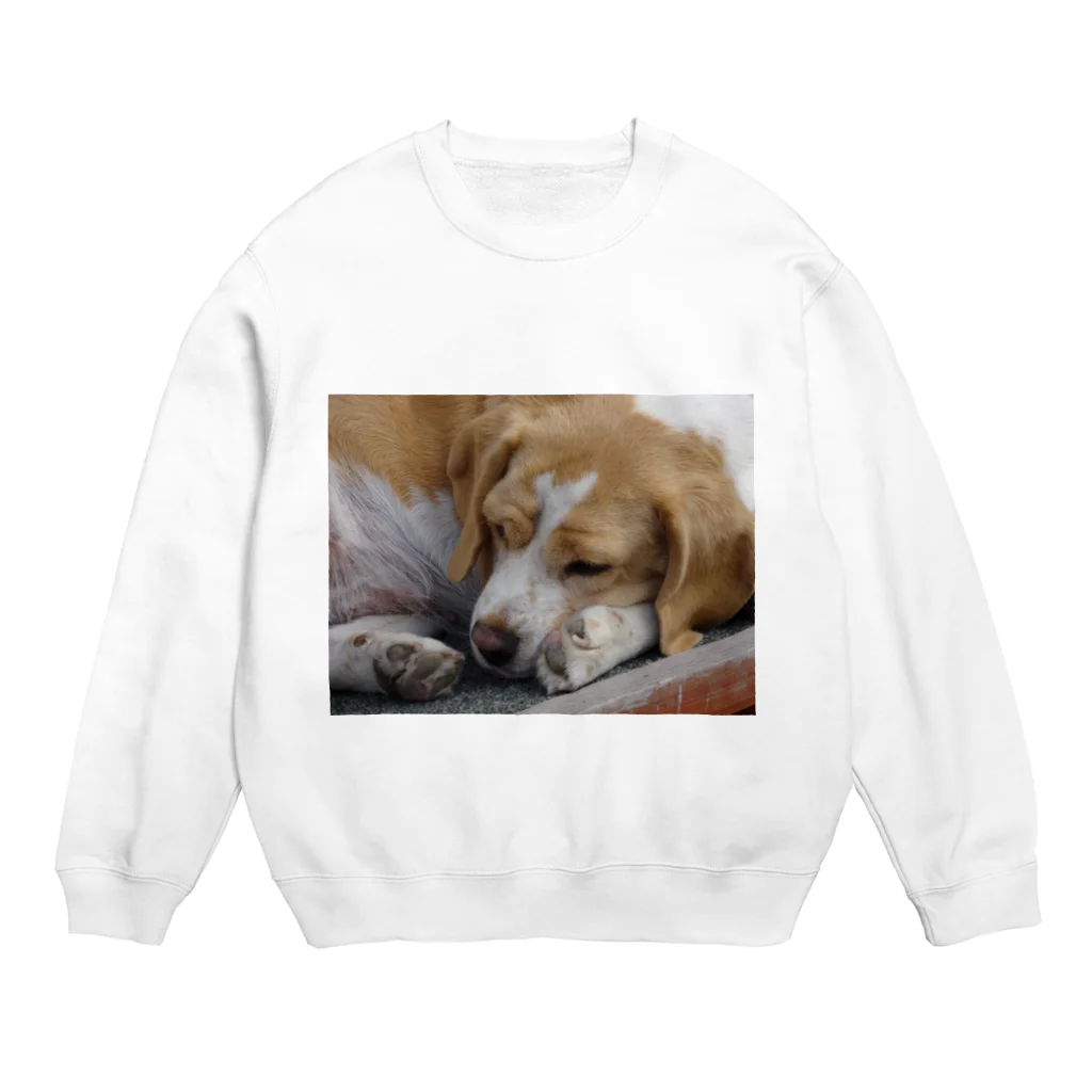 LOVEインコのsleep dog Crew Neck Sweatshirt