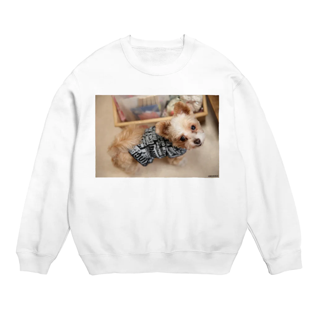 『ないしょ話*夢の森』の看板犬ラテ Crew Neck Sweatshirt