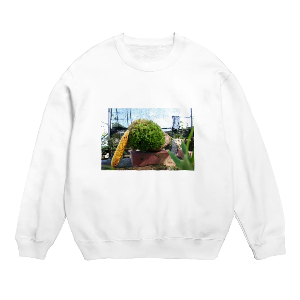 soramamekoの石の花 Ｎｏ．2 Crew Neck Sweatshirt