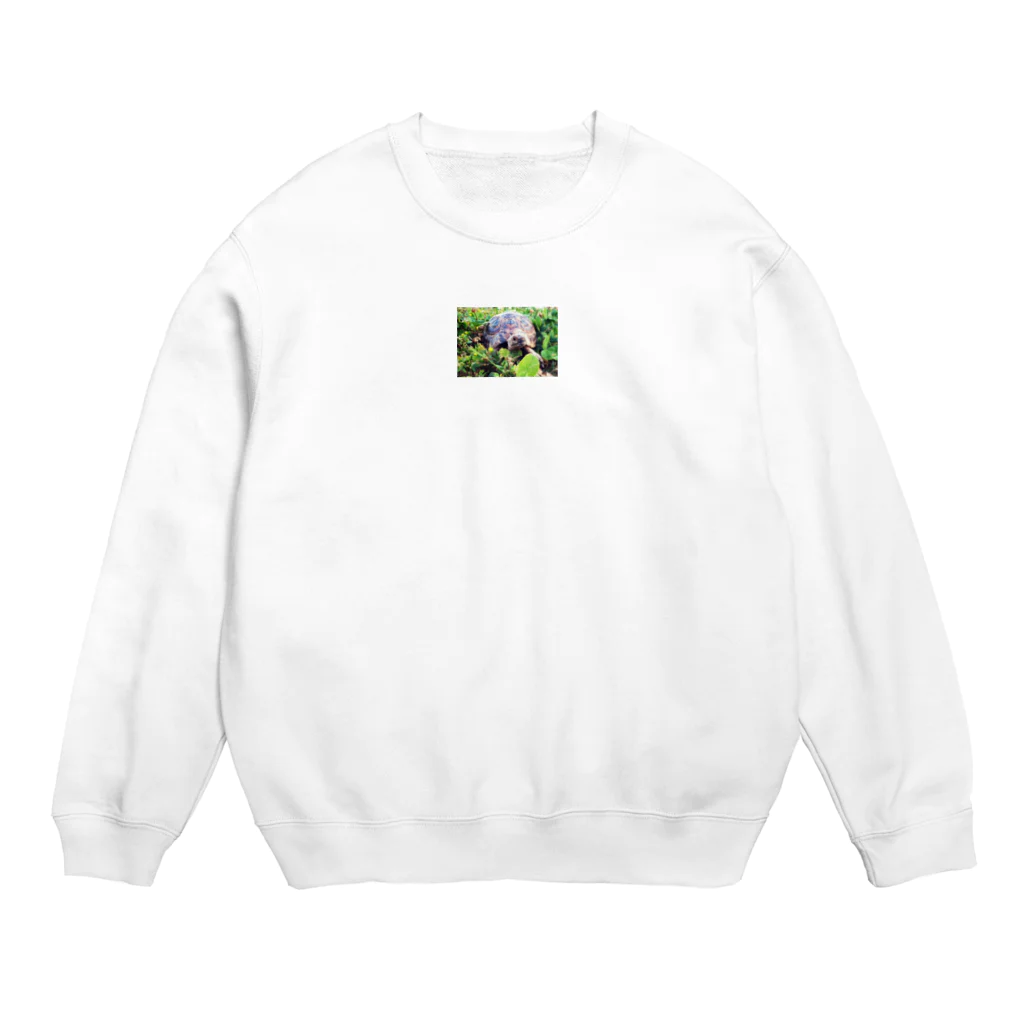 CUCUのモーラ Crew Neck Sweatshirt