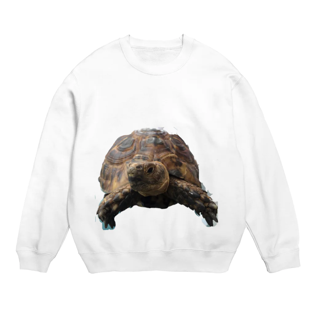 molaのモーラ2 Crew Neck Sweatshirt