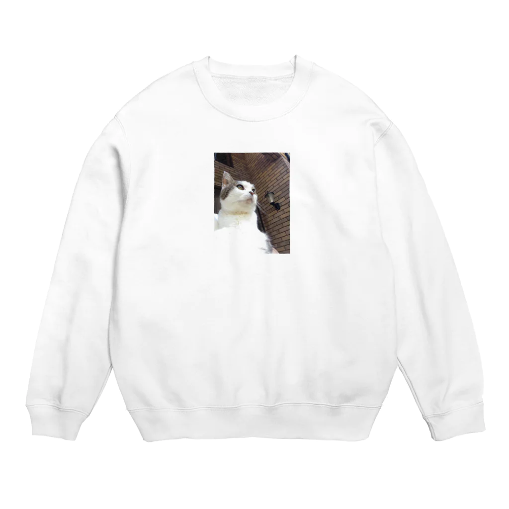 daidouのいつもふてぶてしいうちの愛猫 Crew Neck Sweatshirt