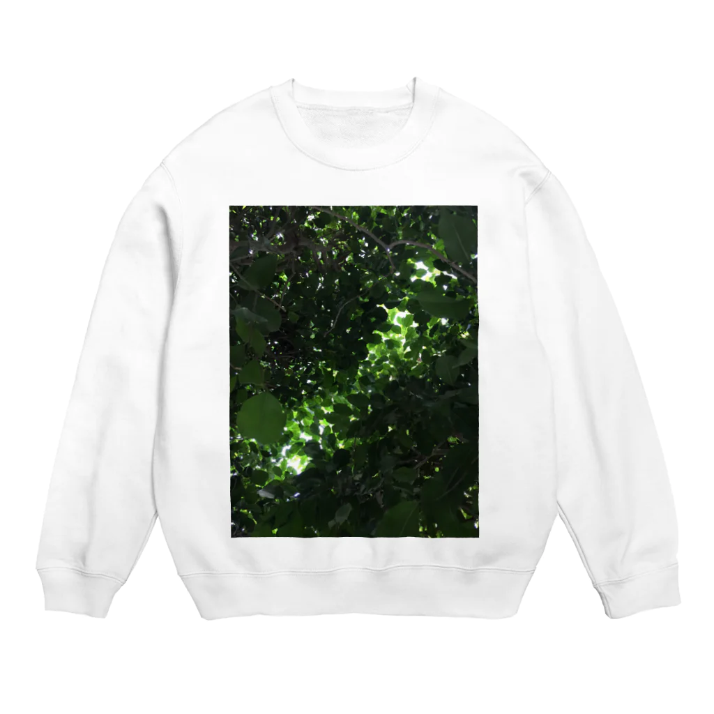 sun-sun_taiyoのしんりょく Crew Neck Sweatshirt