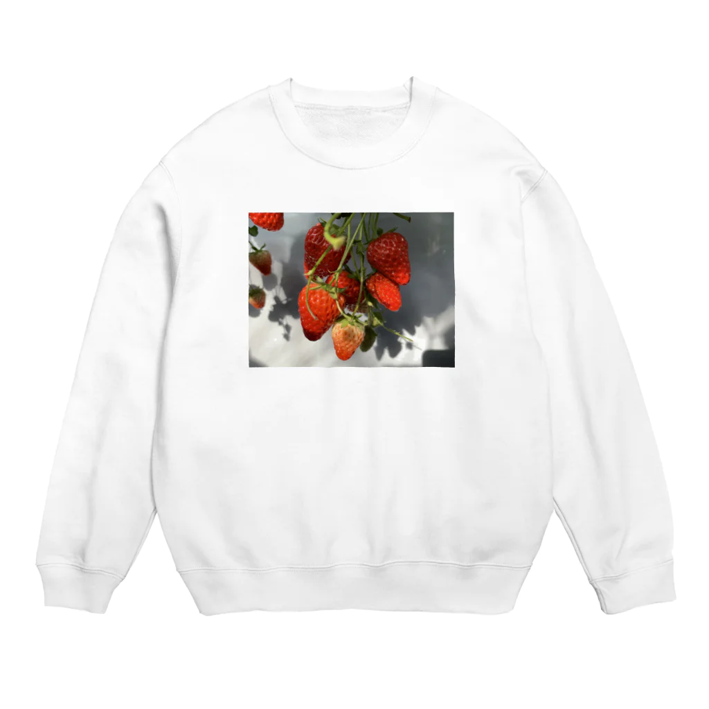 nemutaikaradaのビカムアストロベリー Crew Neck Sweatshirt