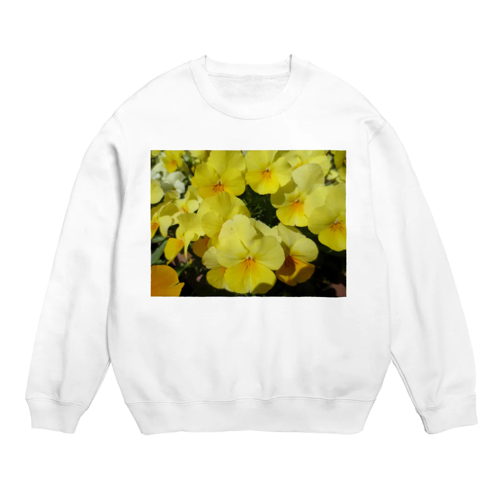 Dreamscape(LUNA)の輝ける光の中へ!! Crew Neck Sweatshirt