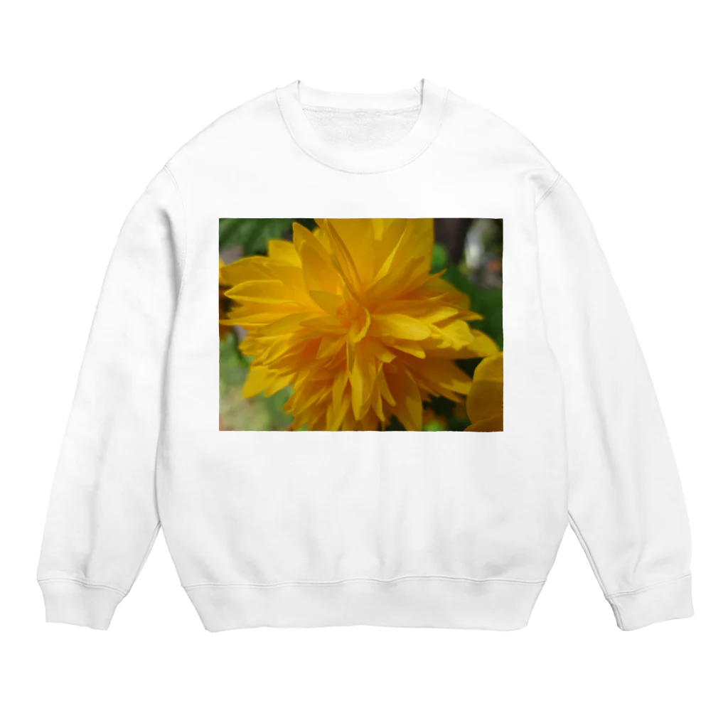 Dreamscape(LUNA)の輝きを求めて・・・ Crew Neck Sweatshirt