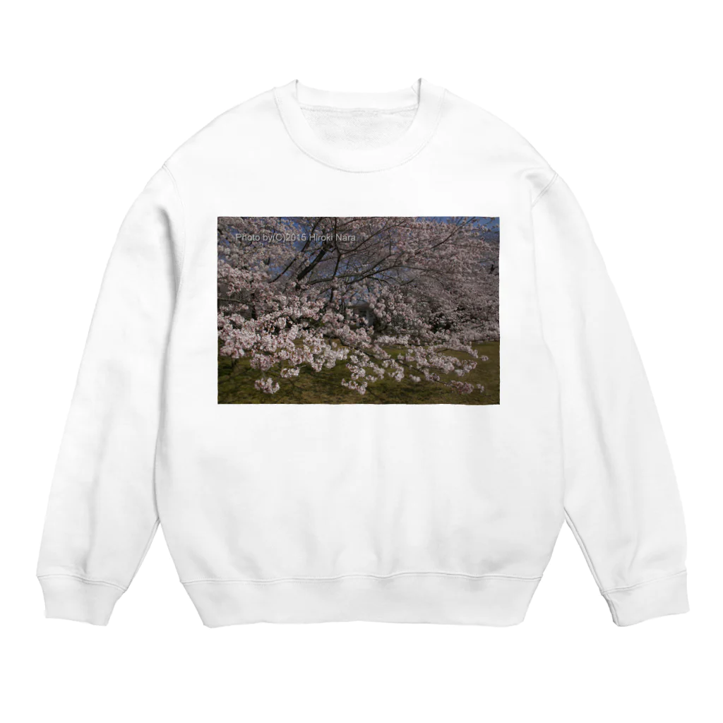 hiroki-naraの光景　sight0054　桜　2015_010　サクラ スウェット