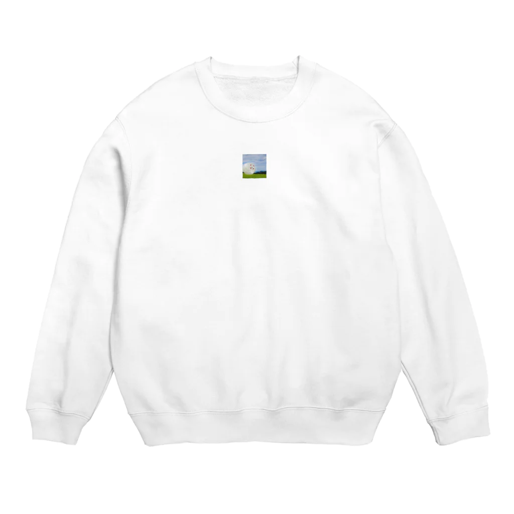 HumanhamsterballのHuman Hamster Ball Crew Neck Sweatshirt