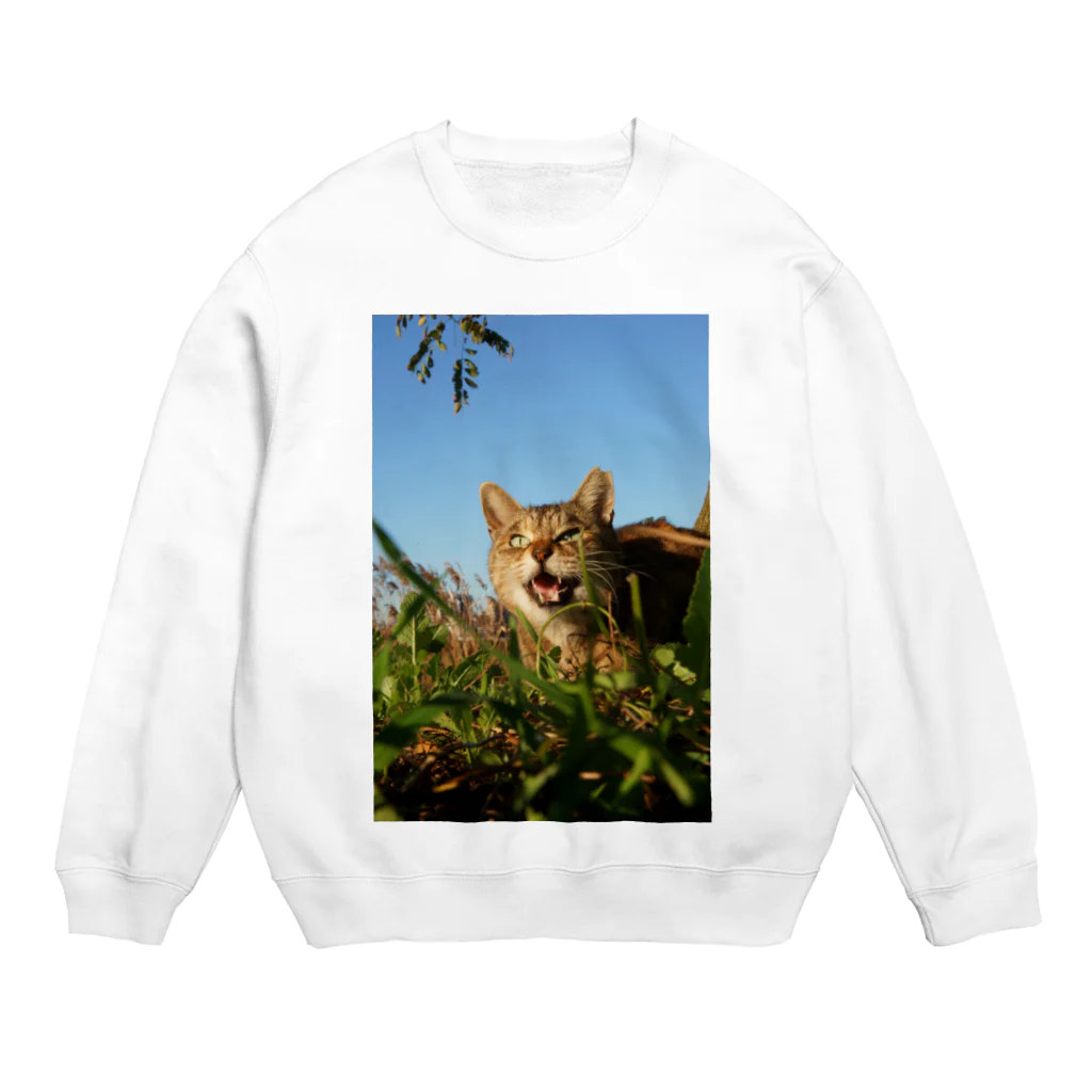 シッポ追いの猫写真店の遊ぼうぜ！ Crew Neck Sweatshirt