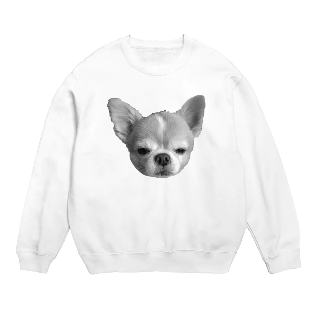 プリンセスモルモットのチワワ少しショック受けてる系 Crew Neck Sweatshirt