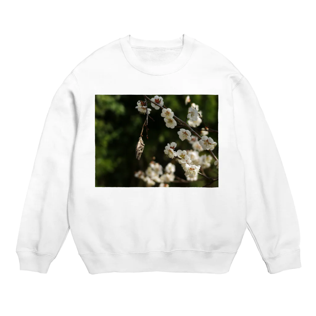 hiroki-naraの梅　ウメ　Japanese　apricot DATA_P_096 Crew Neck Sweatshirt