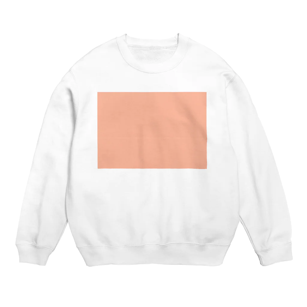 ならおかの放出品のA colorpaper Crew Neck Sweatshirt