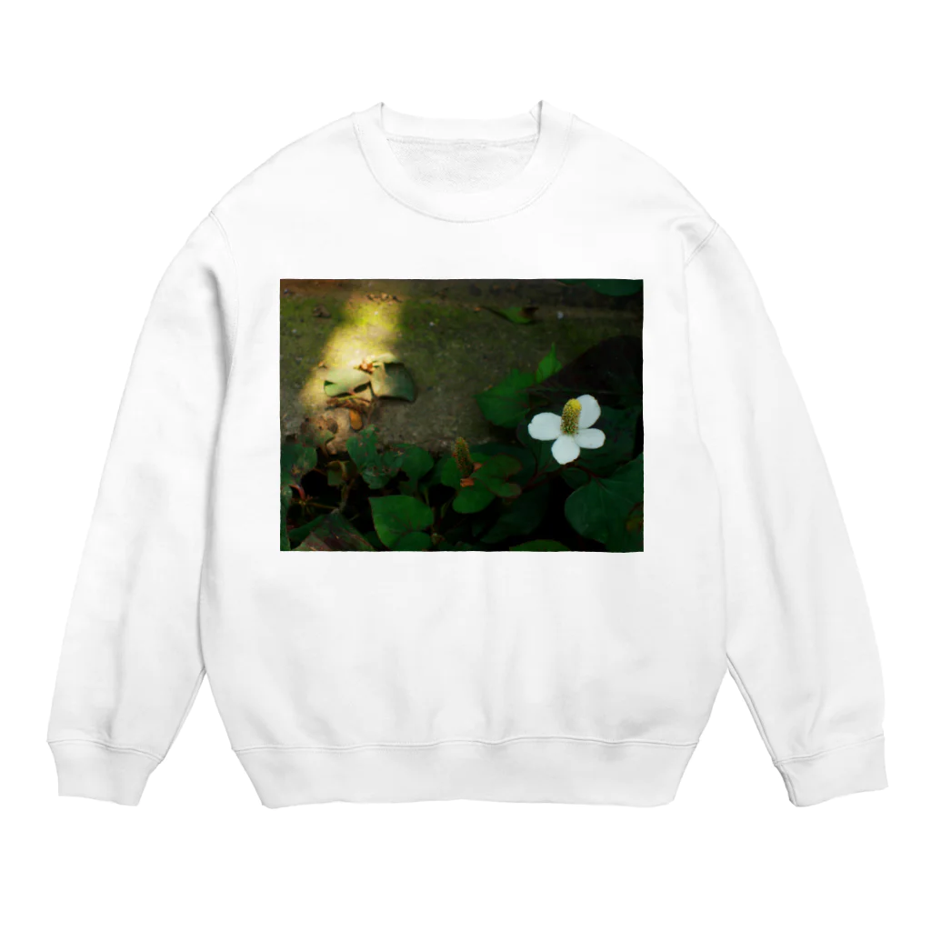 hiroki-naraのどくだみ　DATA_P_122 Crew Neck Sweatshirt