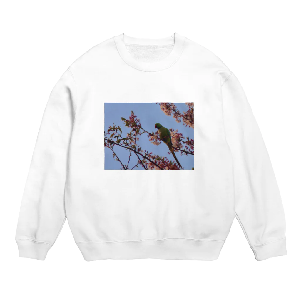 きしの春、桜とワカケホンセイ Crew Neck Sweatshirt