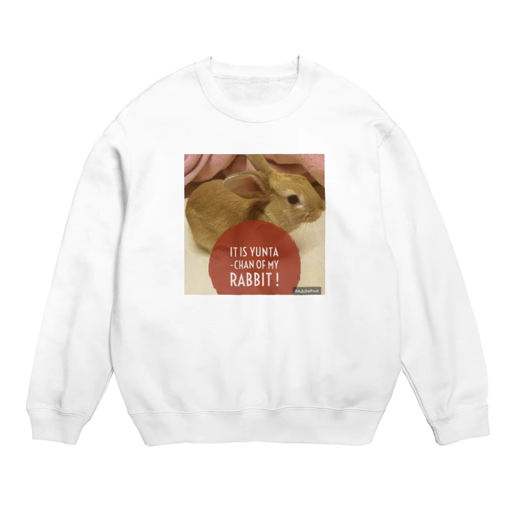 usagiの愛兎ゆんたちゃん０歳です。 Crew Neck Sweatshirt