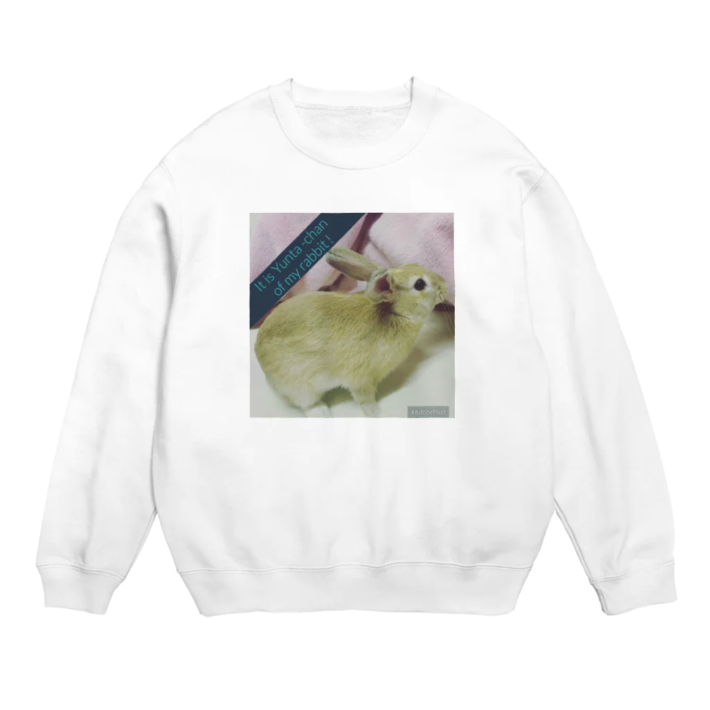 usagiの愛兎ゆんたちゃん０歳です。写真補正済 Crew Neck Sweatshirt