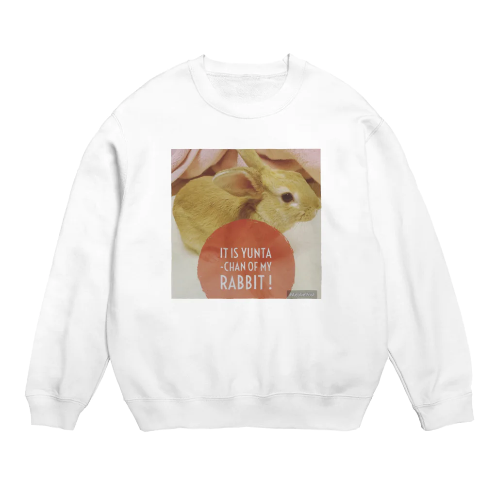 usagiの愛兎ゆんたちゃん０歳です。写真補正済 Crew Neck Sweatshirt