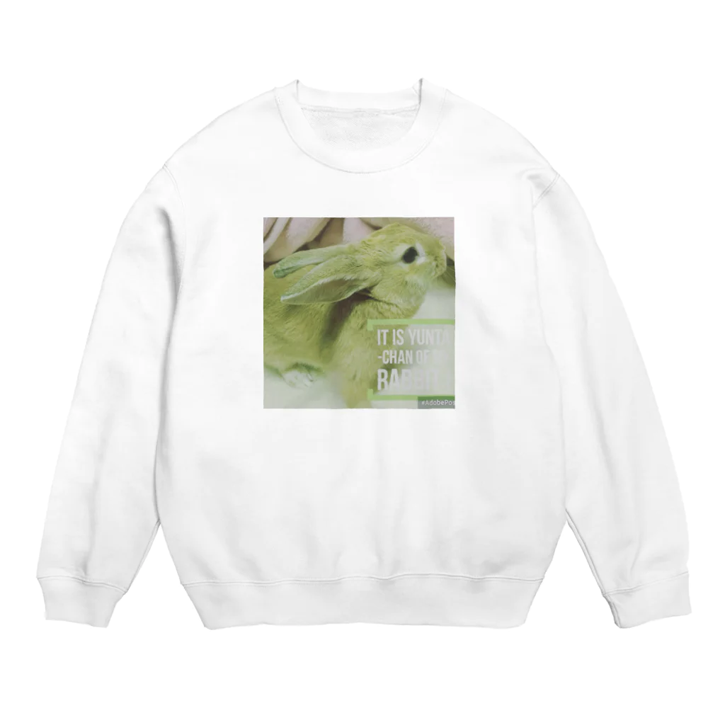 usagiの愛兎ゆんたちゃん０歳です。写真補正済 Crew Neck Sweatshirt