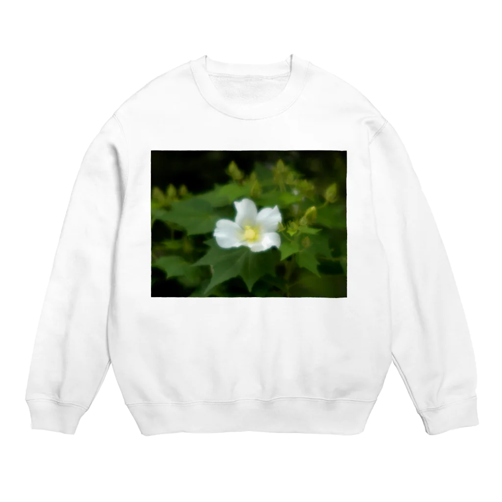 hiroki-naraの芙蓉 DATA_P_130　Confederate Rose ハスの花の古名 Crew Neck Sweatshirt