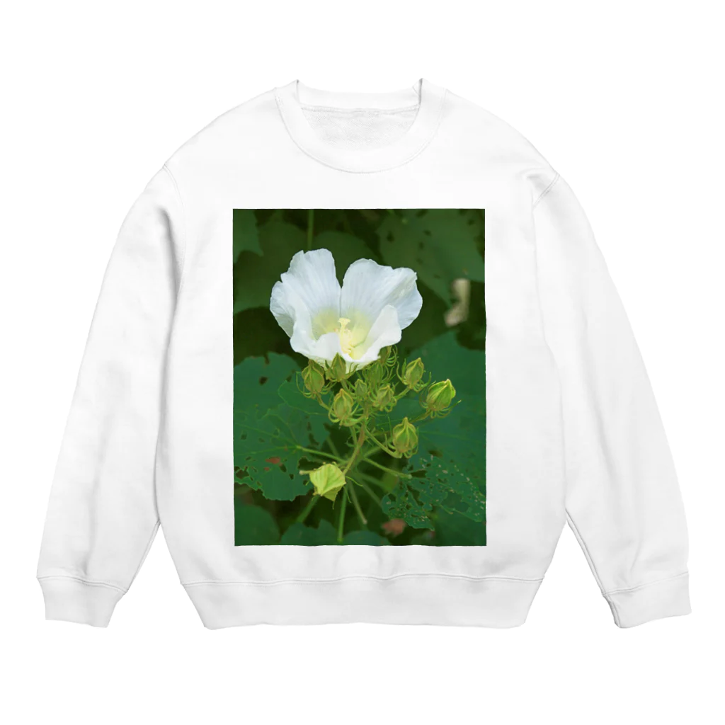 hiroki-naraの芙蓉 DATA_P_132　Confederate Rose ハスの花の古名 Crew Neck Sweatshirt