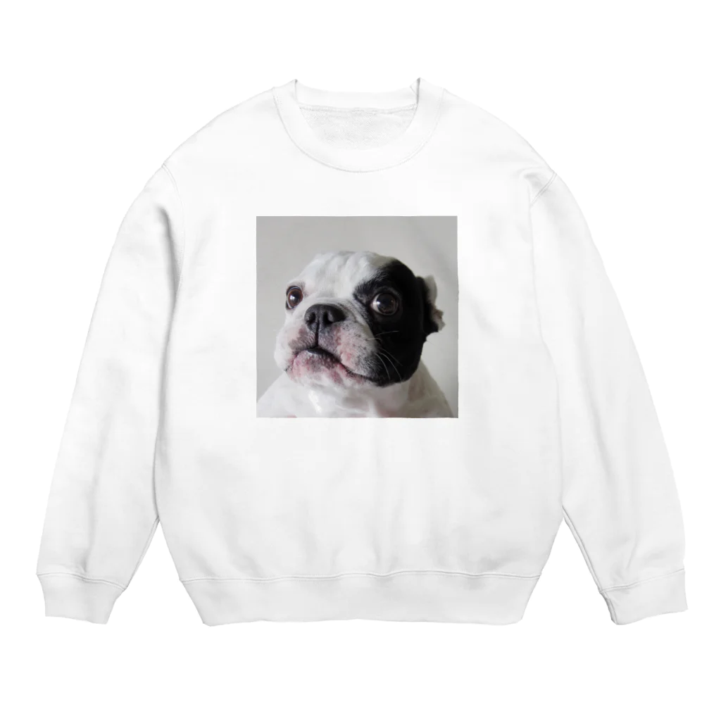 愛犬 コットンの愛犬 Crew Neck Sweatshirt