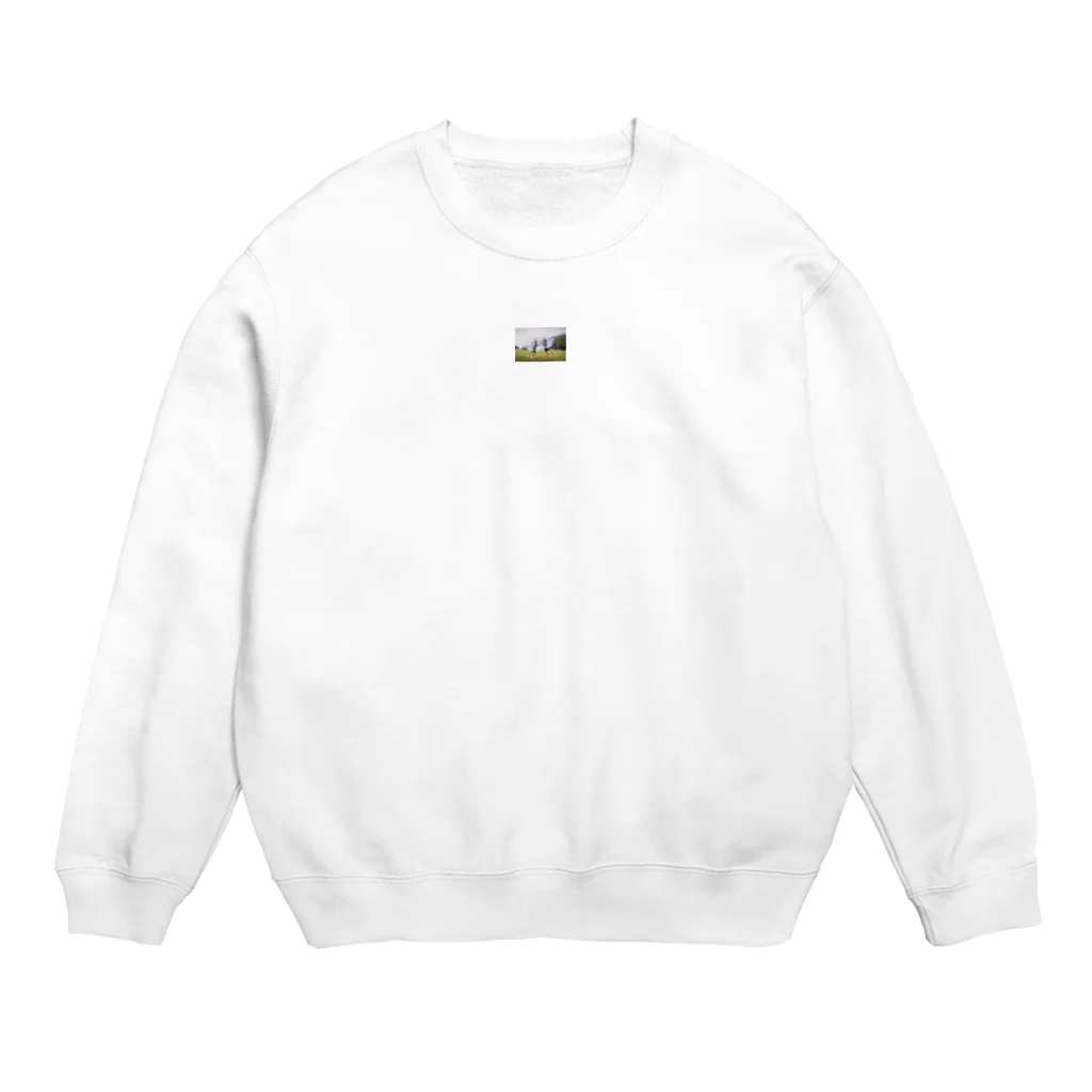 HumanhamsterballのHuman Hamster Ball Crew Neck Sweatshirt