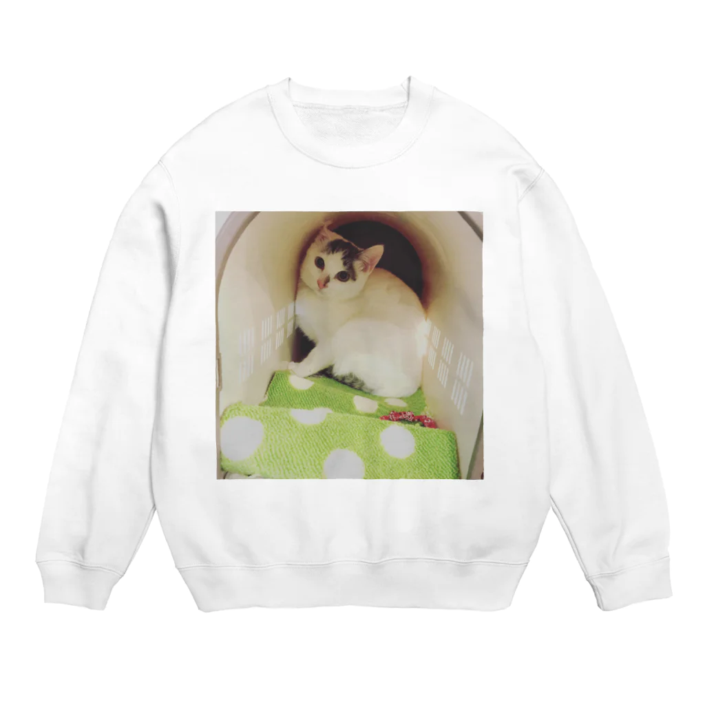 ねこまる広場の新しい家族☆おもち君 Crew Neck Sweatshirt